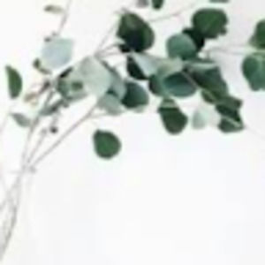 Meet your Posher, Benjamin